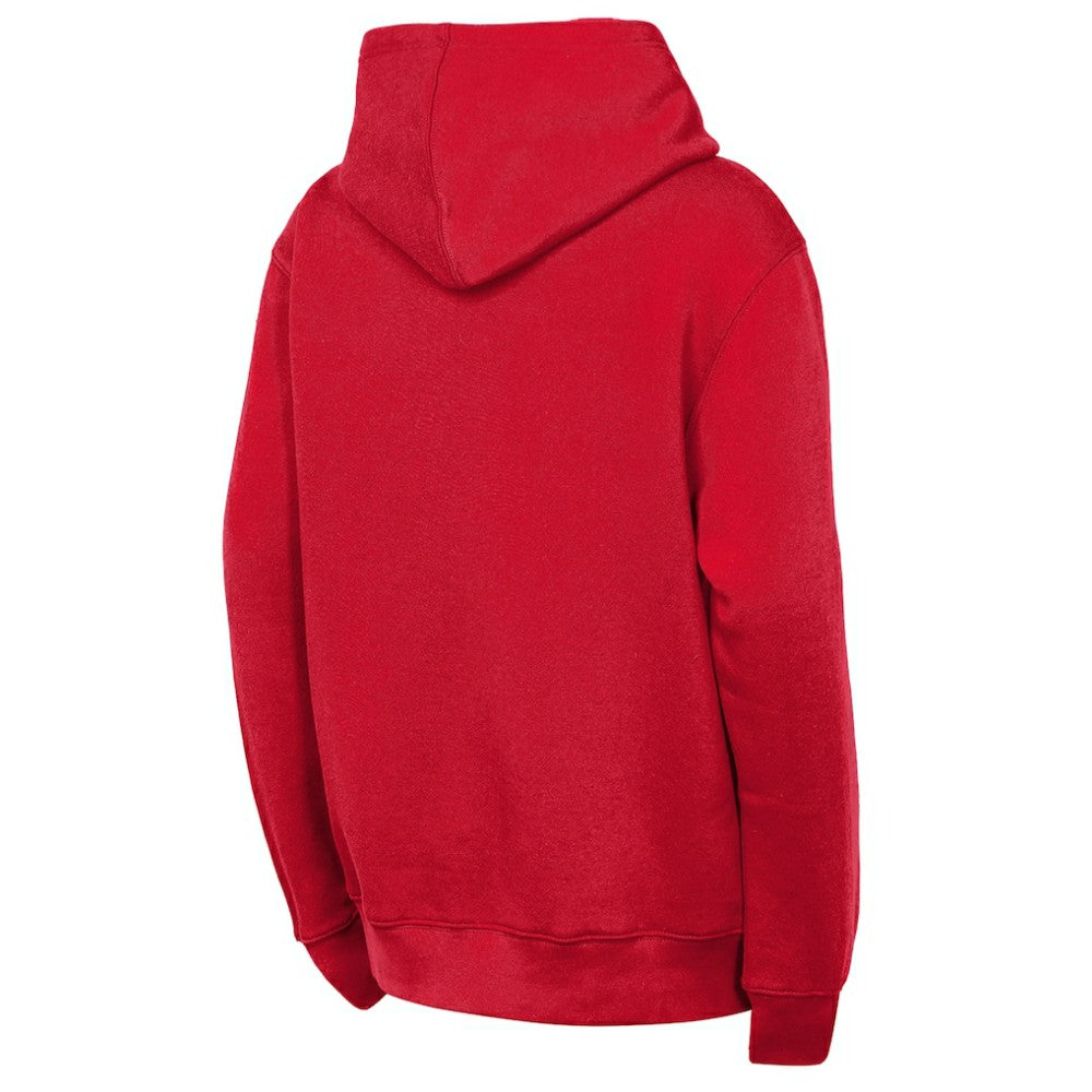 Detroit Red Wings Outerstuff Youth Back to Basics Hoodie Red