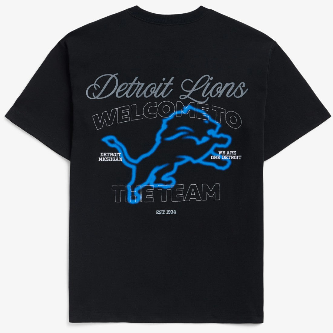 Detroit Lions Off Season x NFL Unisex Graphic T-Shirt - Black outlet