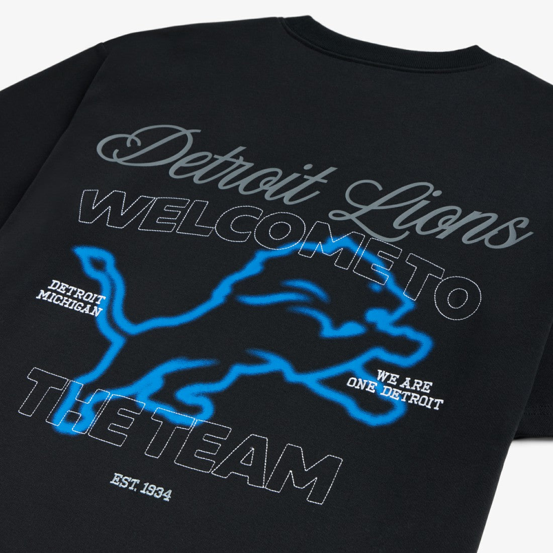 Detroit Lions Off Season x NFL Unisex Graphic T-Shirt - Black outlet