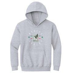 Mexico National Team 500 Level Youth Futbol Pullover Hoodie - Gray for sale