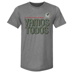 Mexico National Team 500 Level Vamos Todos Premium Tri-Blend T-Shirt - Gray on sale