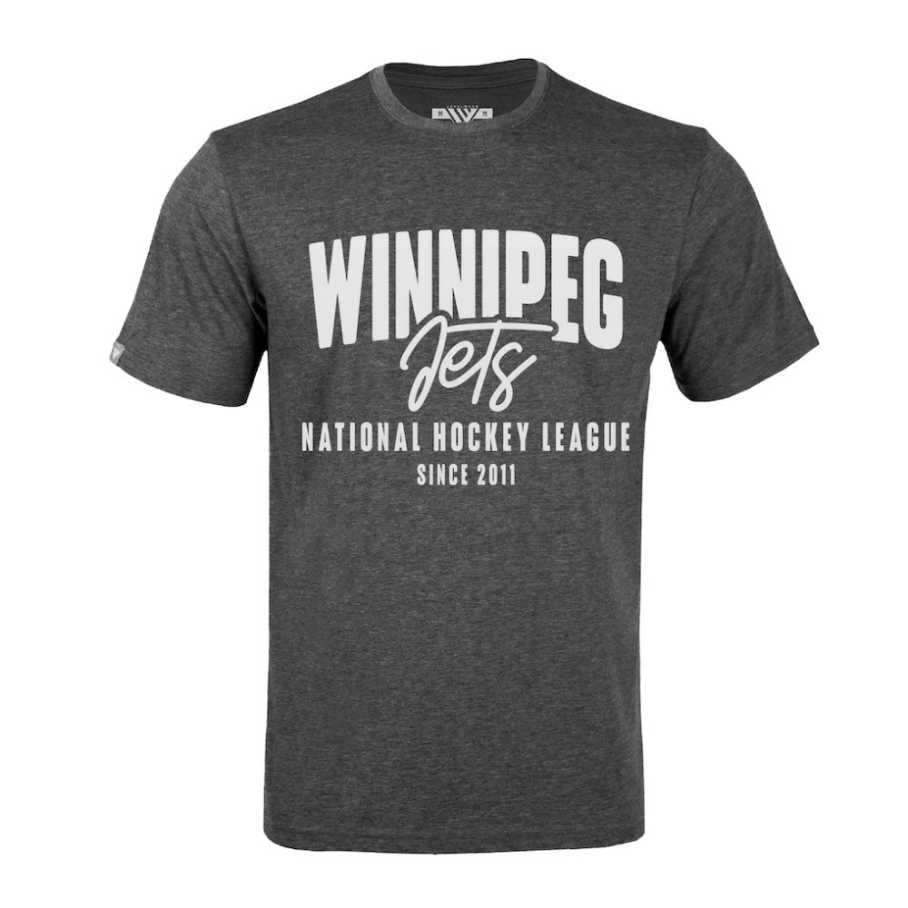 Winnipeg Jets Levelwear Richmond Response T-Shirt Gray