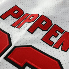 Scottie Pippen Chicago Bulls Player Mesh V-Neck Shirt sale - White | Mitchell & Ness online