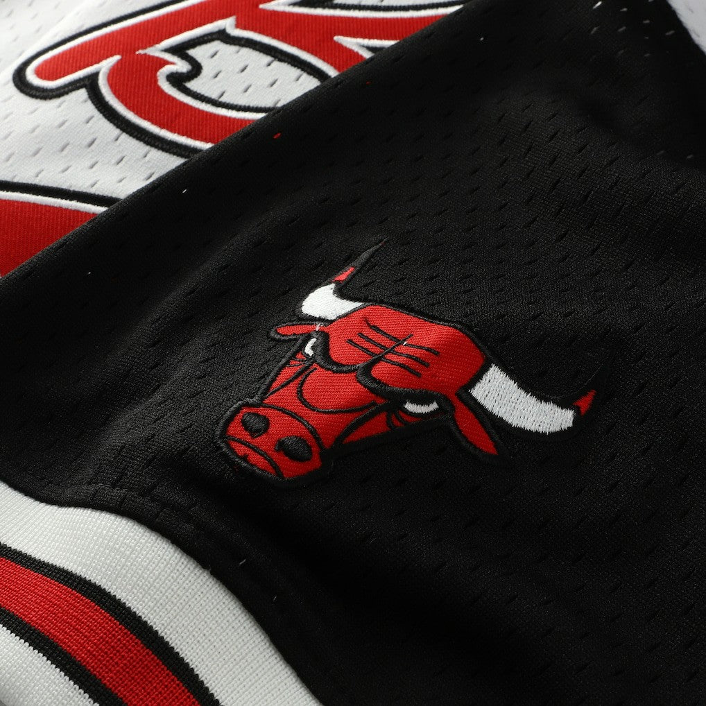 Scottie Pippen Chicago Bulls Player Mesh V-Neck Shirt sale - White | Mitchell & Ness online