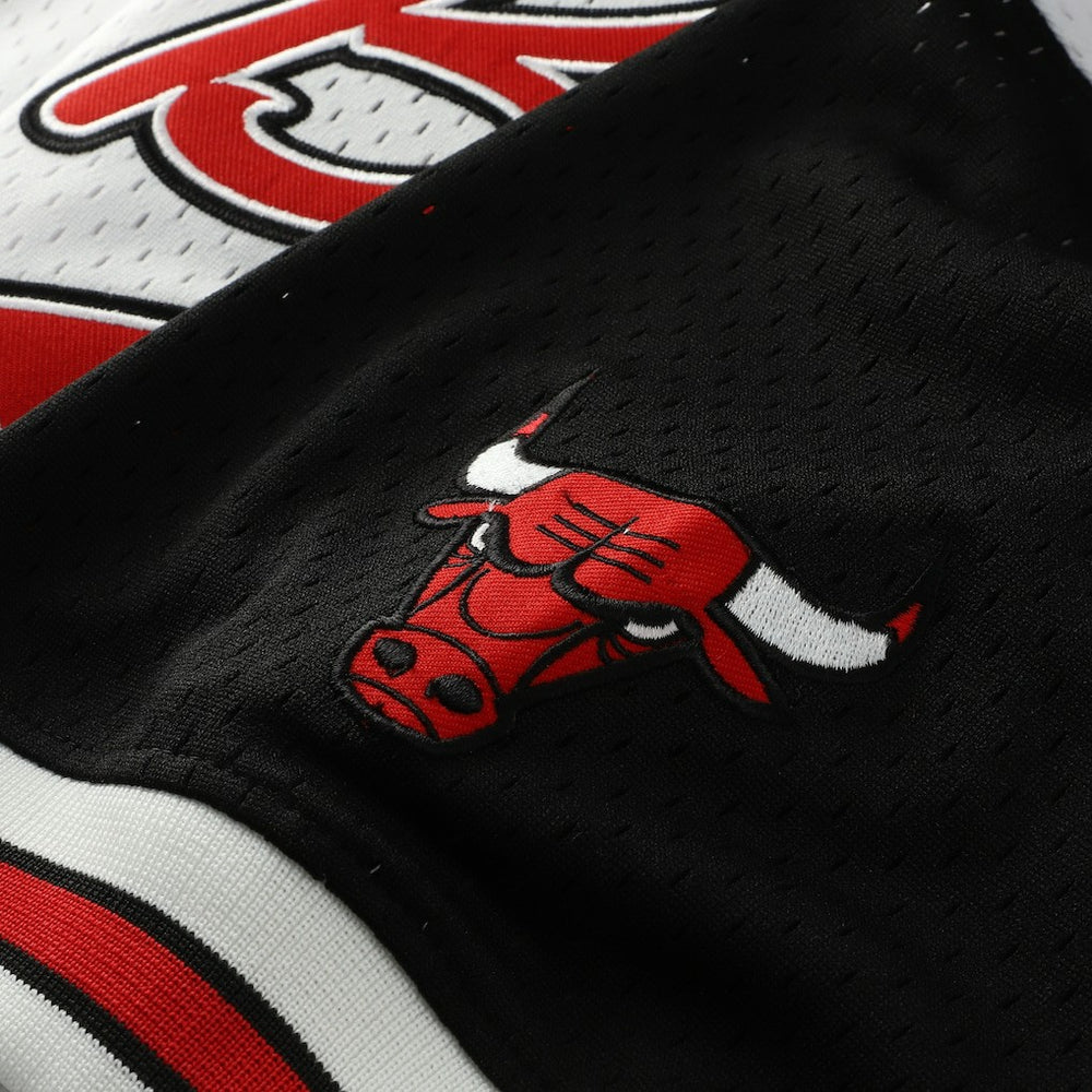 Scottie Pippen Chicago Bulls Player Mesh V-Neck Shirt sale - White | Mitchell & Ness online