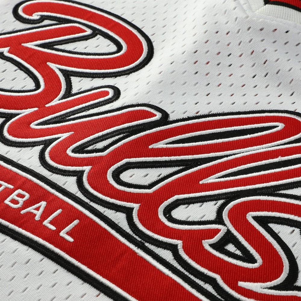 Scottie Pippen Chicago Bulls Player Mesh V-Neck Shirt sale - White | Mitchell & Ness online