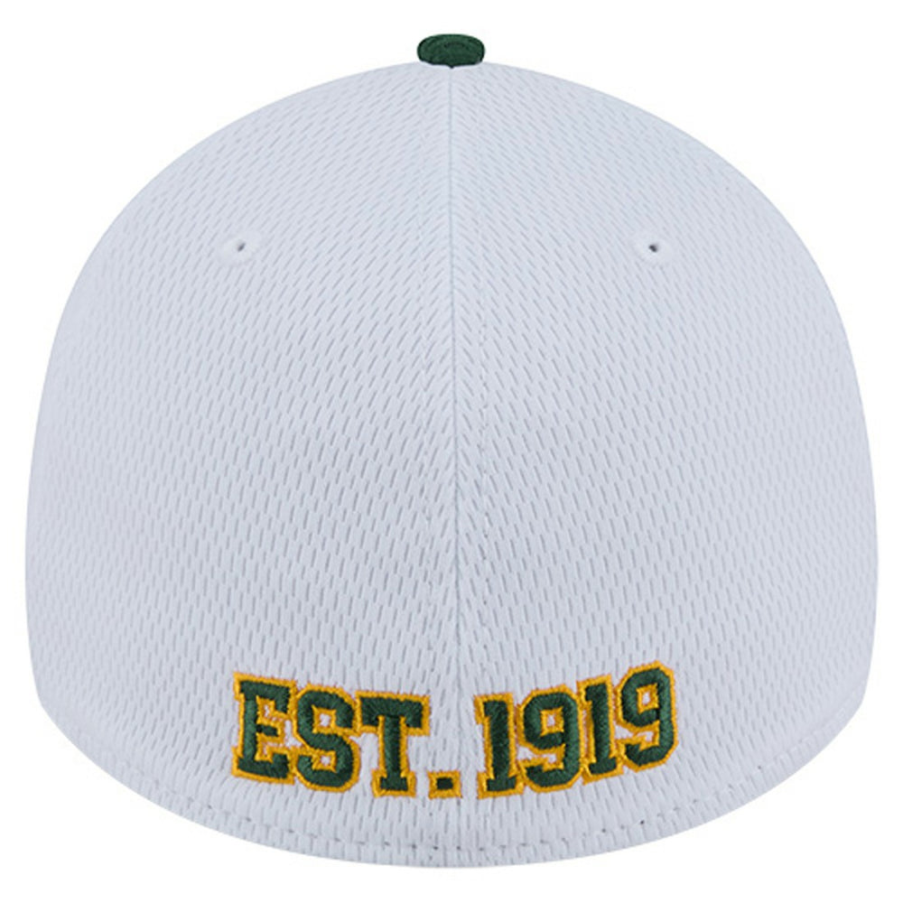 Green Bay Packers New Era Dashmark Rays 39THIRTY Flex Hat - White/Green cheap