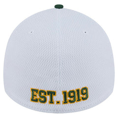 Green Bay Packers New Era Dashmark Rays 39THIRTY Flex Hat - White/Green cheap