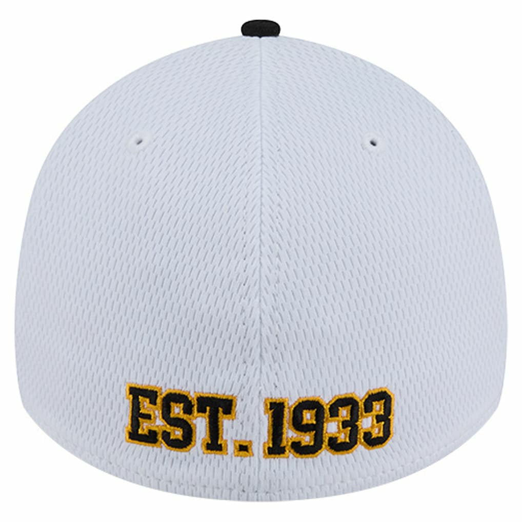 Pittsburgh Steelers New Era Dashmark Rays 39THIRTY Flex Hat - White/Black online