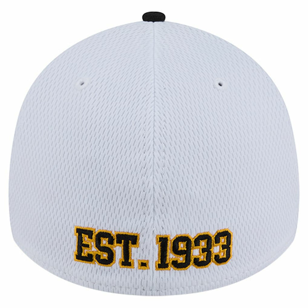 Pittsburgh Steelers New Era Dashmark Rays 39THIRTY Flex Hat - White/Black online