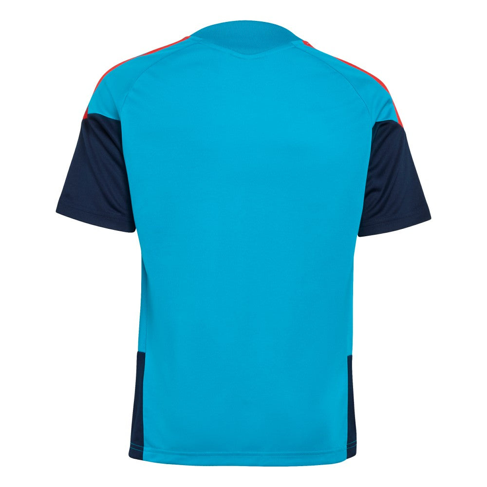 Spain National Team Youth FIFA x World Cup 2026 Tiro Training Jersey - Turquoise | Adidas online