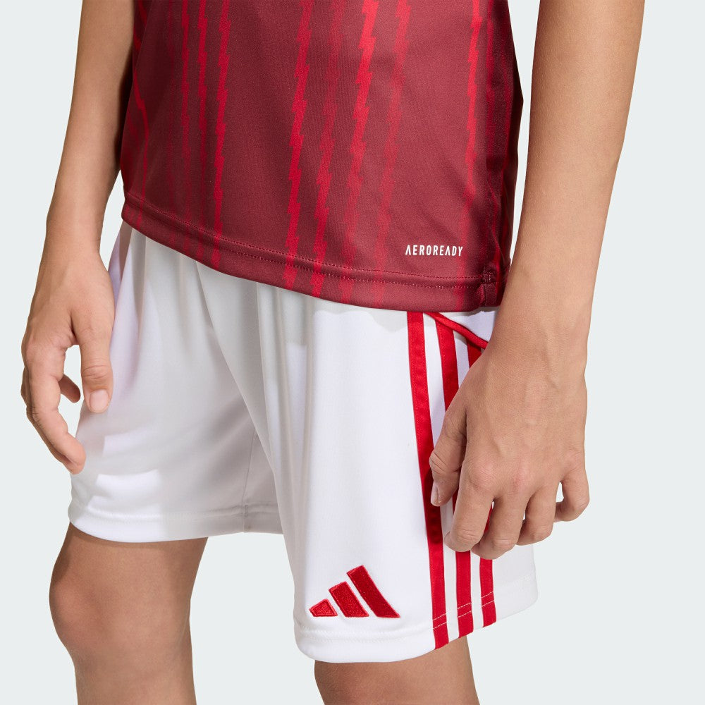 Arsenal Youth 2025/26 Pre-Match Training Jersey - Red | Adidas shop