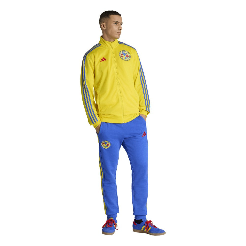 Club America 2025/26 DNA Alphaskin Full-Zip Track Jacket - Yellow | Adidas online