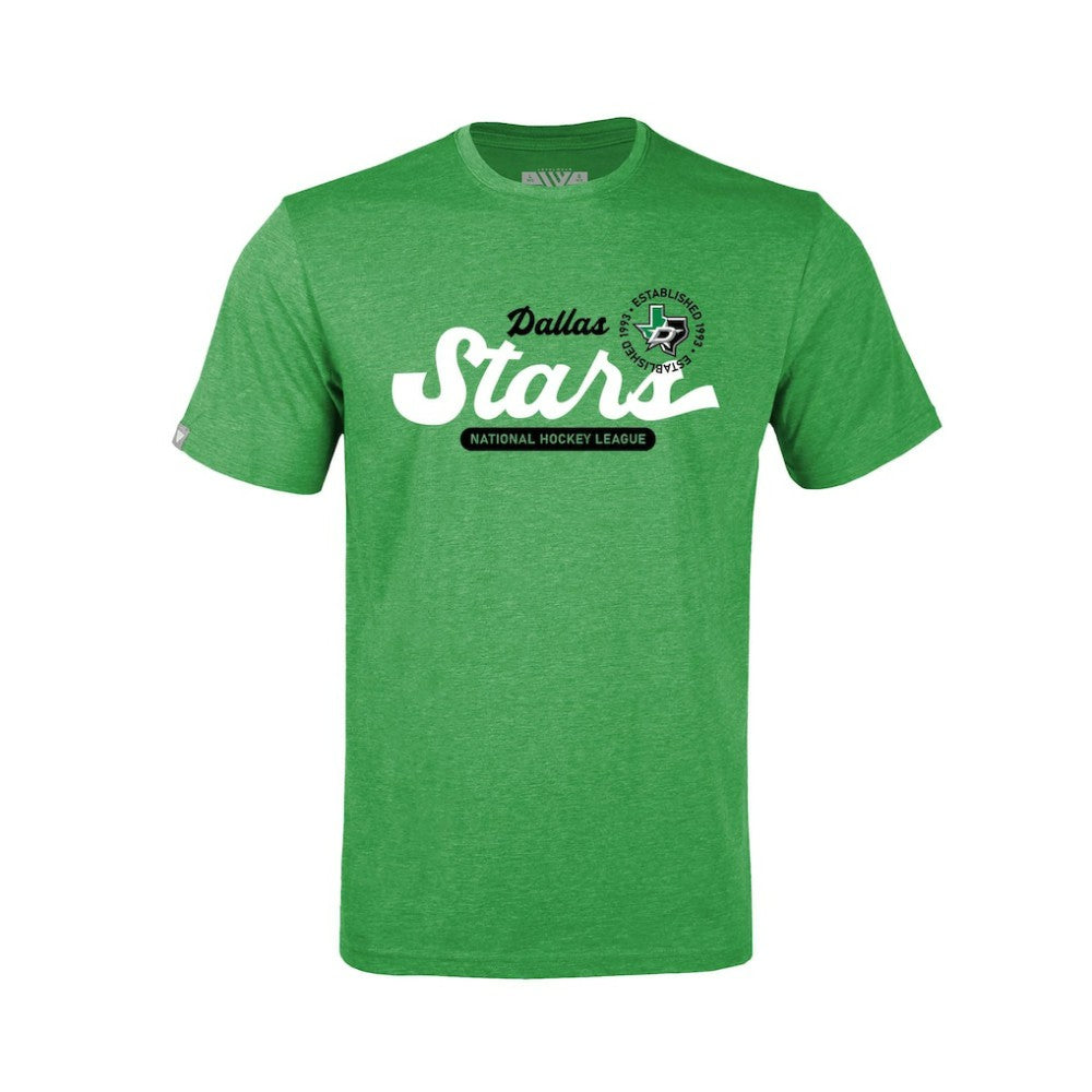 Dallas Stars Levelwear Youth Little Richmond Monument T-Shirt Green