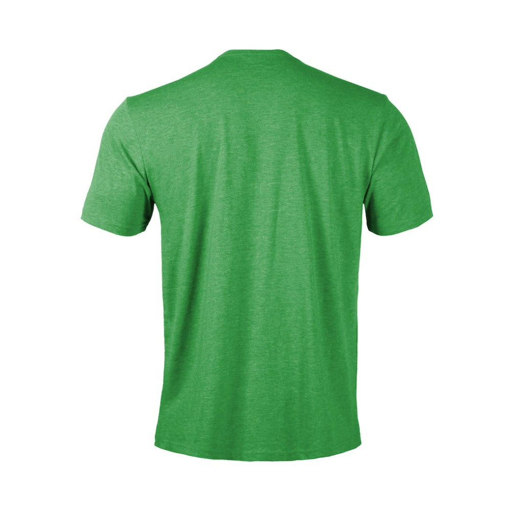 Dallas Stars Levelwear Youth Little Richmond Monument T-Shirt Green