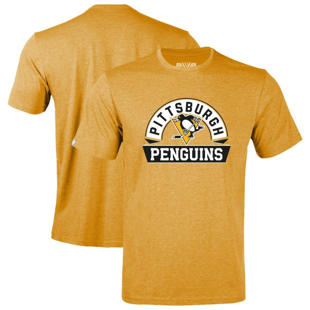 Pittsburgh Penguins Levelwear Youth Little Richmond Banner Arch T-Shirt Gold