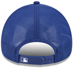 Texas Rangers 2026 Batting Practice Alternate Apex 9FORTY Adjustable Hat - Royal | New Era