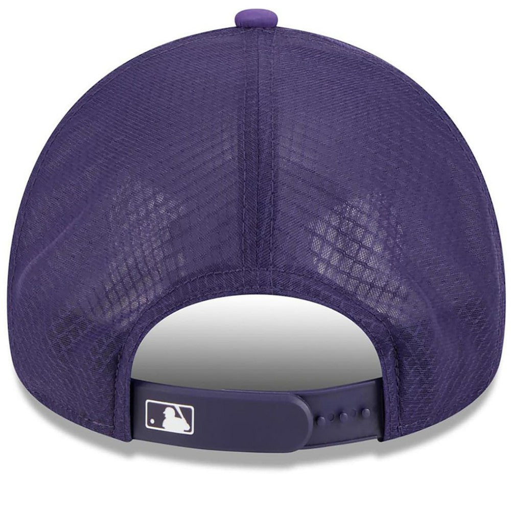 Arizona Diamondbacks 2026 Batting Practice Alternate Apex 9FORTY Adjustable Hat - Purple | New Era
