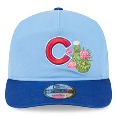 Chicago Cubs 2026 Spring Training 19TWENTY Adjustable Hat - Light Blue/Royal | New Era