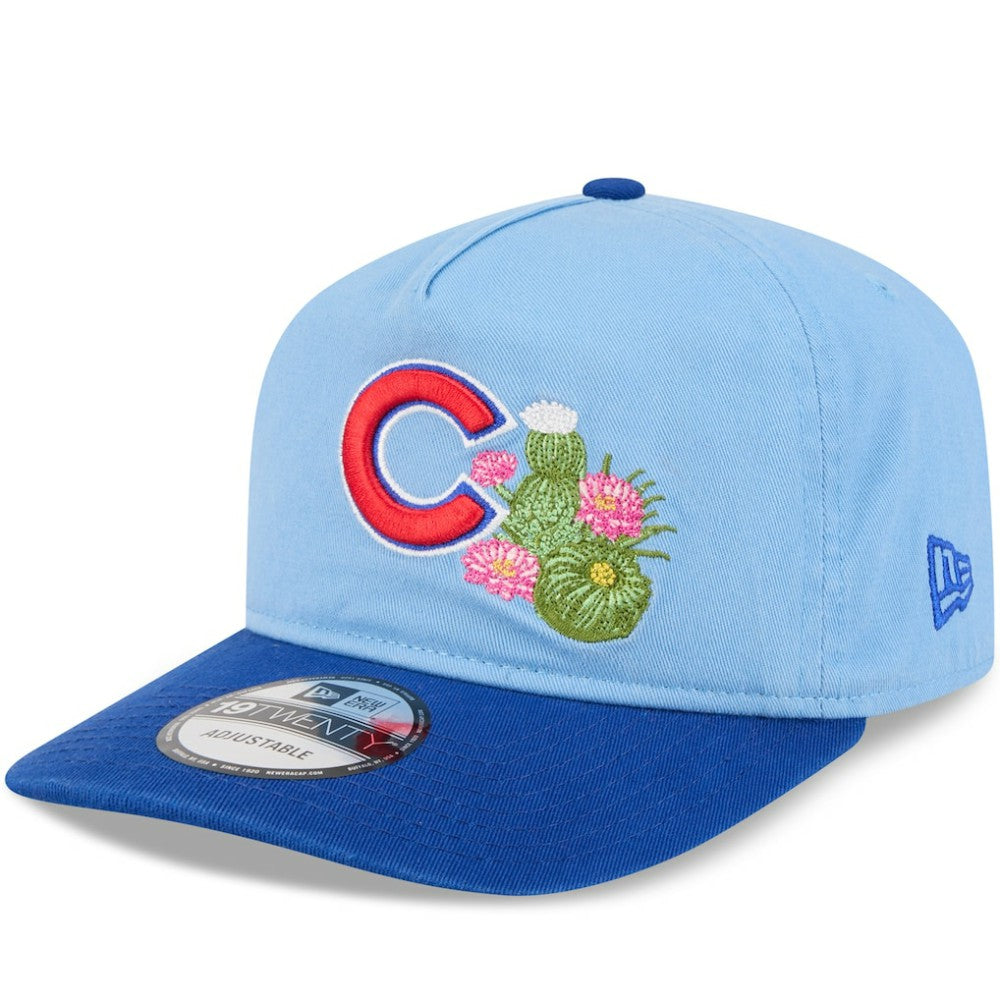 Chicago Cubs 2026 Spring Training 19TWENTY Adjustable Hat - Light Blue/Royal | New Era