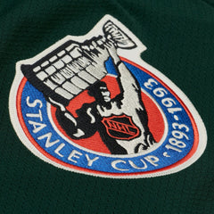 Toronto Maple Leafs Mitchell & Ness x Just Don Jersey Hoodie Green
