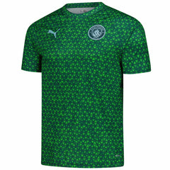 Manchester City 2025/26 Pre-Match Training Jersey - Green | Puma sale