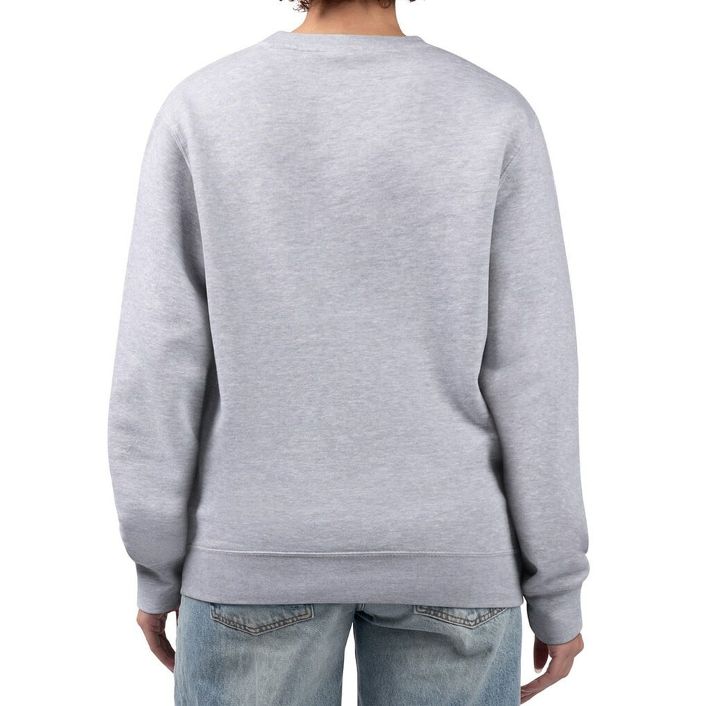 Las Vegas Raiders G-III 4Her by Carl Banks Women's Distressed Graphics Fleece Pullover Sweatshirt - Gray cheap