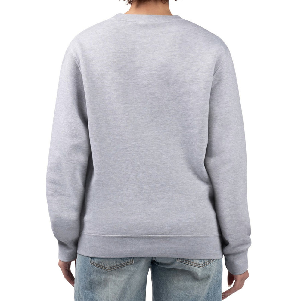 Green Bay Packers G-III 4Her by Carl Banks Women's Distressed Graphics Fleece Pullover Sweatshirt - Gray online