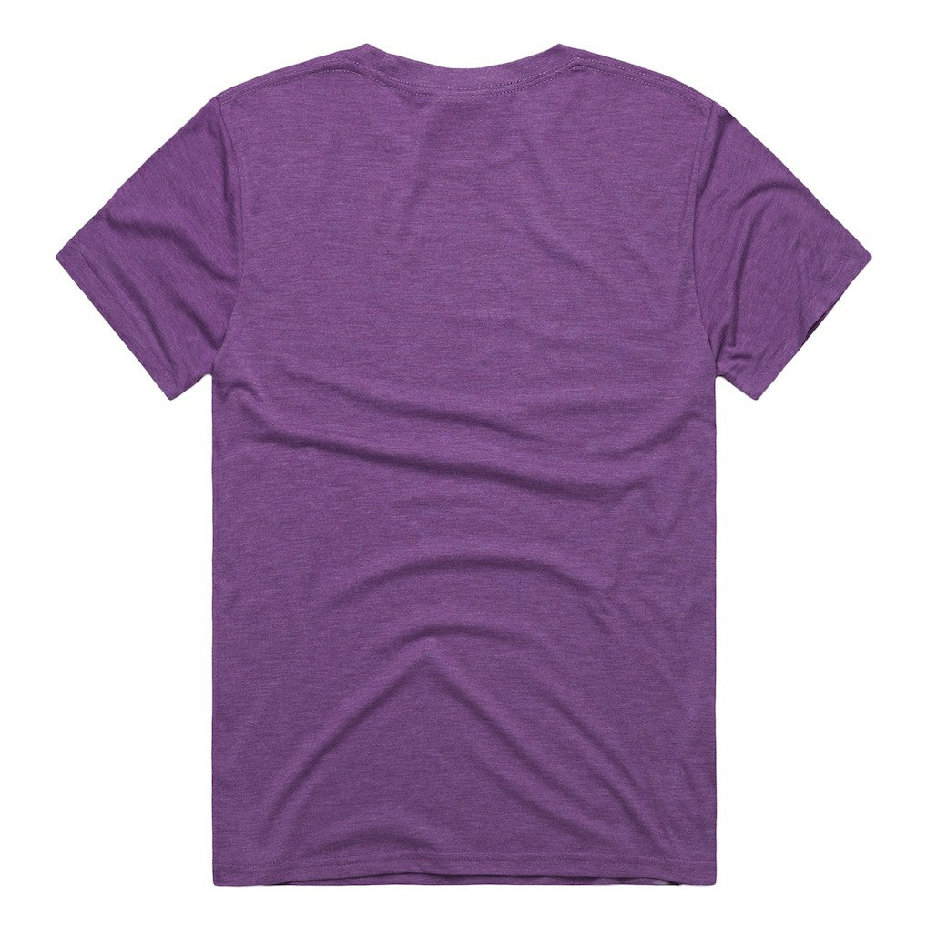 Minnesota Vikings Homage Unisex NFL ASL Collection by Love Sign Tri-Blend T-Shirt - Purple outlet