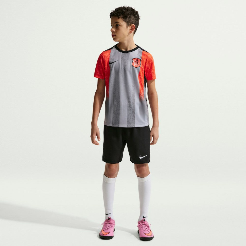 Chelsea Youth 2025/26 Academy Pro Pre-Match Top - Gray | Nike cheap