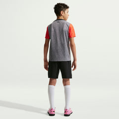 Chelsea Youth 2025/26 Academy Pro Pre-Match Top - Gray | Nike cheap