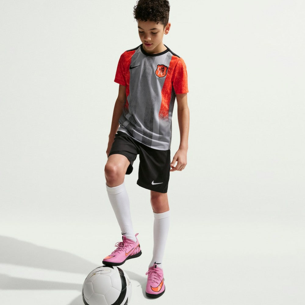 Chelsea Youth 2025/26 Academy Pro Pre-Match Top - Gray | Nike cheap