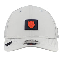 Detroit Tigers 2026 Clubhouse Alternate 39THIRTY Flex Hat - Gray | New Era