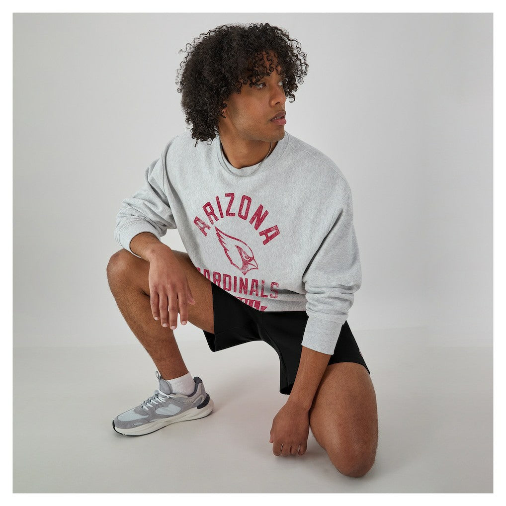 Arizona Cardinals Champion Reverse Weave Fleece Pullover Sweatshirt - Heather Gray online
