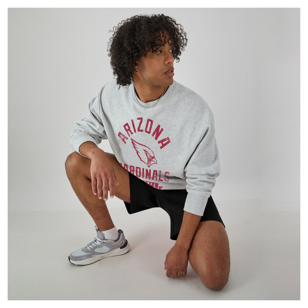 Arizona Cardinals Champion Reverse Weave Fleece Pullover Sweatshirt - Heather Gray online