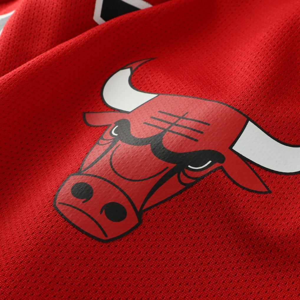 Dennis Rodman Chicago Bulls Big & Tall NBA Hockey Jersey - Red | Mitchell & Ness for sale