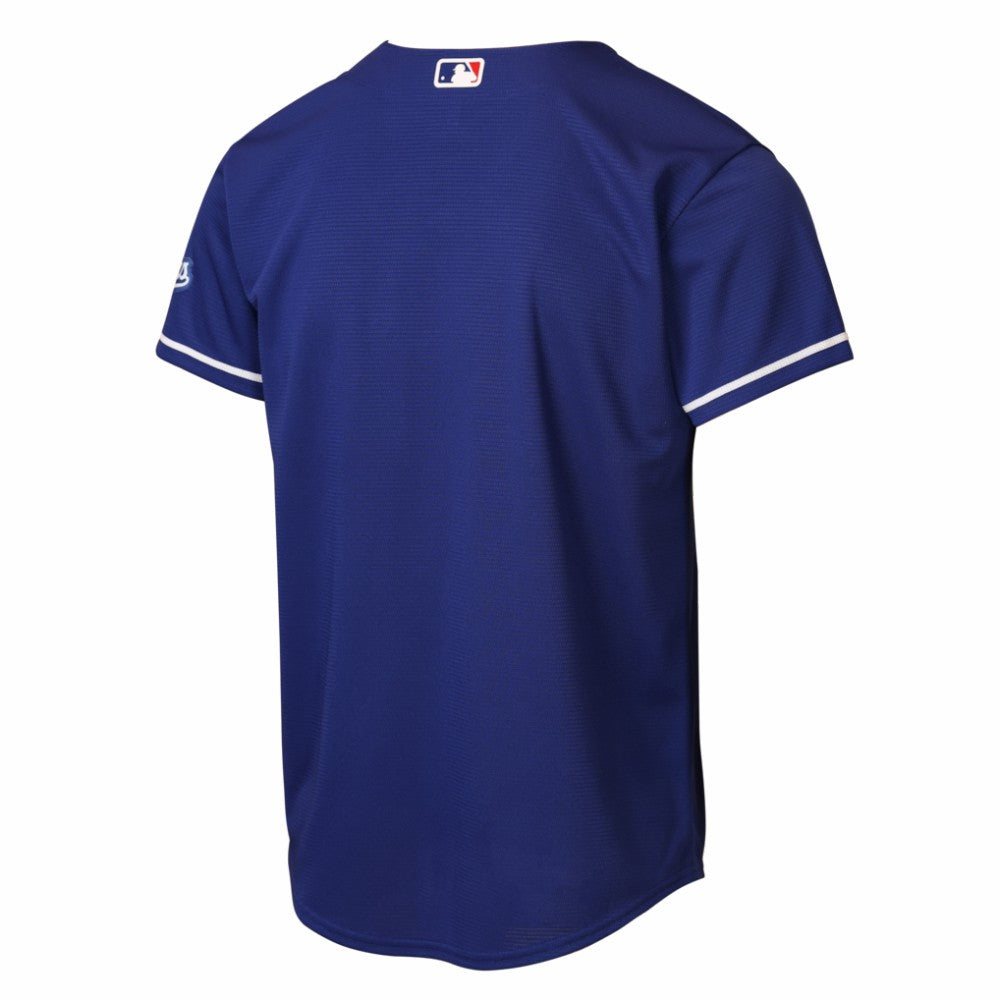 Los Angeles Dodgers Youth Alternate 2 Stadium Jersey - Royal | Nike