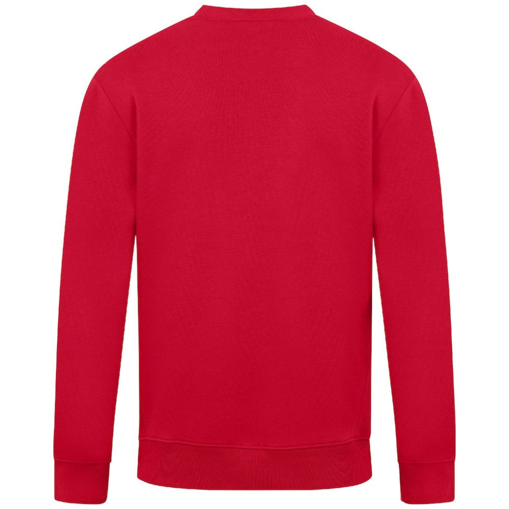 St. Louis Cardinals Levelwear City Connect Zane Back Splash Sweatshirt - Red