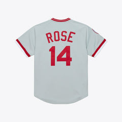 Pete Rose Cincinnati Reds 1976 Authentic Jersey - Gray | Mitchell & Ness