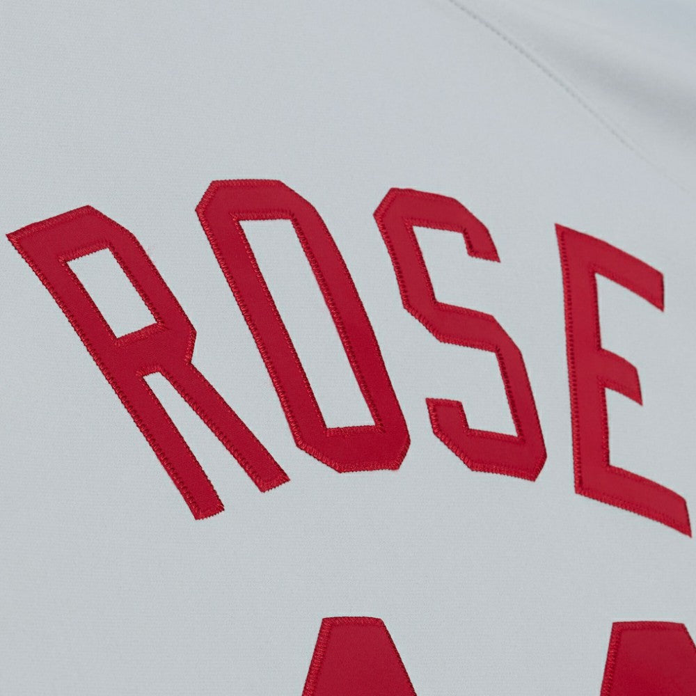 Pete Rose Cincinnati Reds 1976 Authentic Jersey - Gray | Mitchell & Ness
