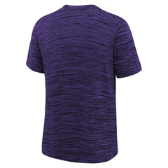 Arizona Diamondbacks Youth Authentic Collection Velocity Dri-FIT T-Shirt - Purple | Nike