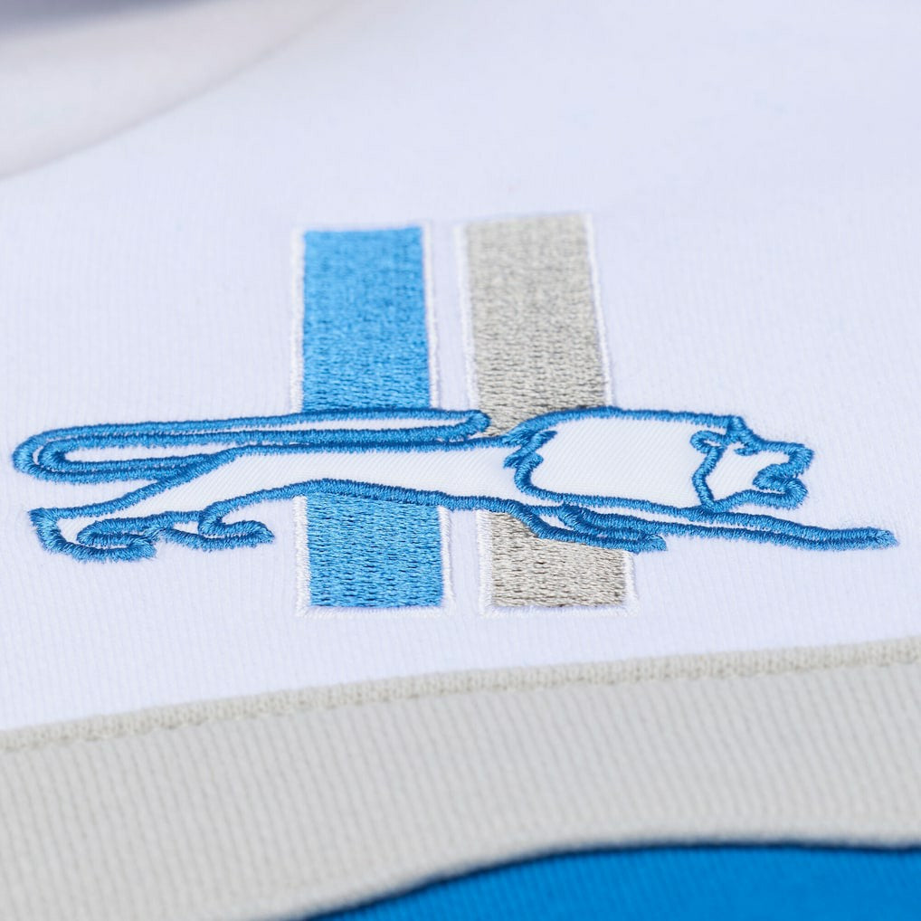 Detroit Lions Head Coach Hoodie - Blue cheap