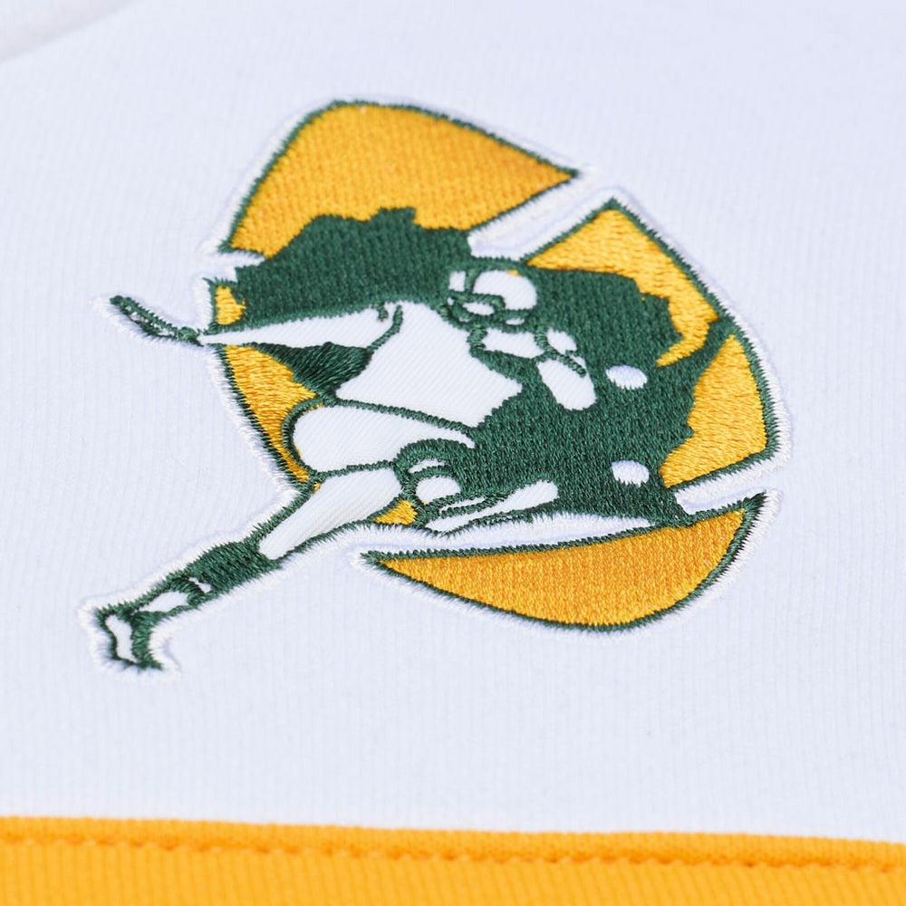 Green Bay Packers Head Coach Hoodie - Green discount
