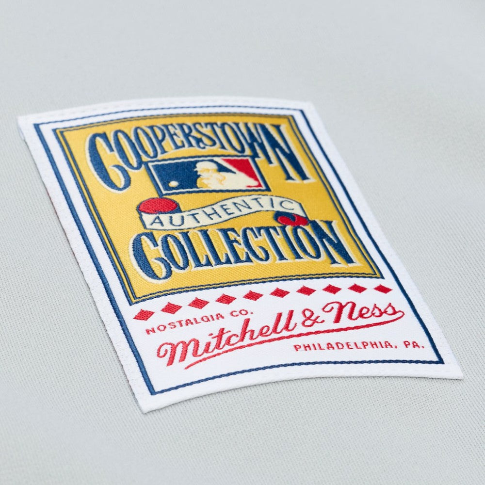 Tom Seaver New York Mets 1976 Authentic Jersey - Gray | Mitchell & Ness