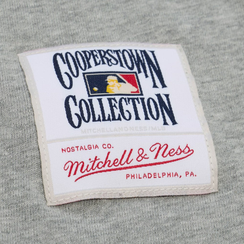 Ken Griffey Jr. Seattle Mariners Player Collection Premium T-Shirt - Gray | Mitchell & Ness