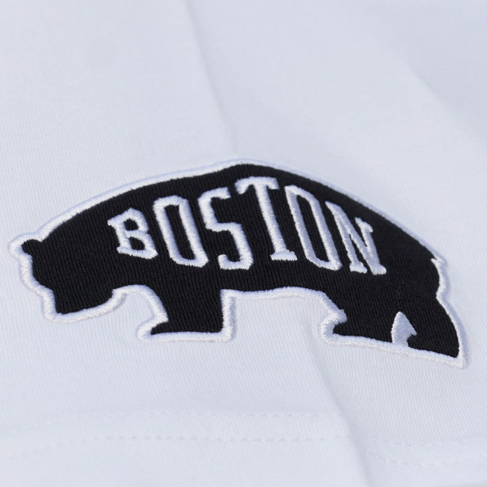 Boston Bruins Mitchell & Ness Arctic T-Shirt- White