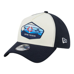Minnesota Twins 2026 Spring Training Fan Pack Gradient 39THIRTY Flex Hat - Stone | New Era