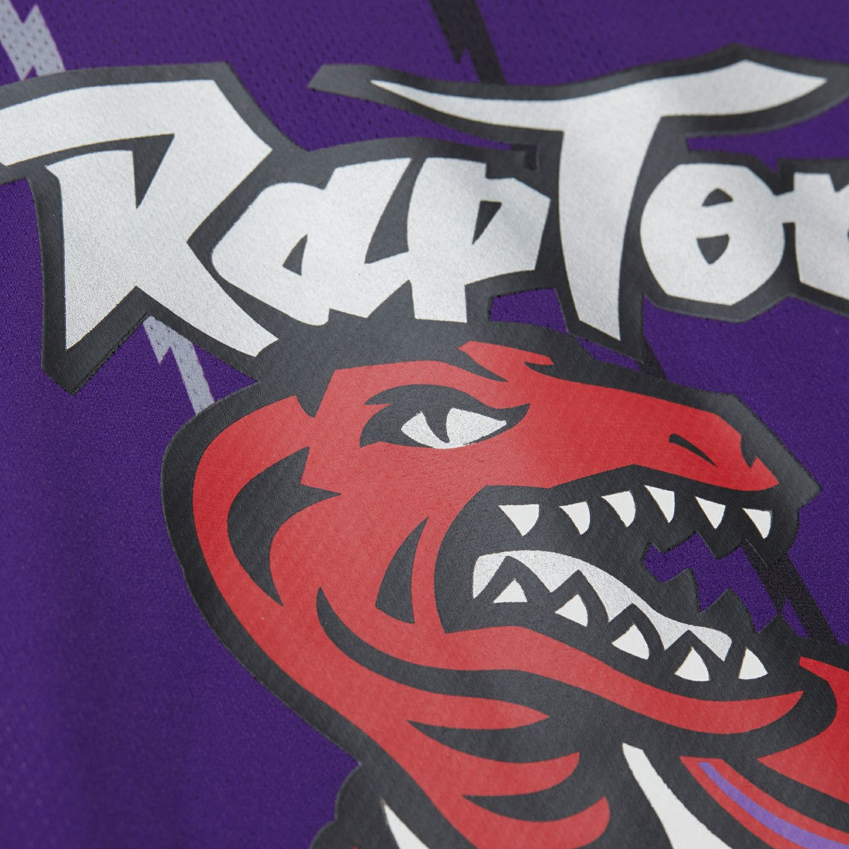 Vince Carter Toronto Raptors Unisex Maxxed Out Fashion Hockey Jersey - Purple | Mitchell & Ness shop