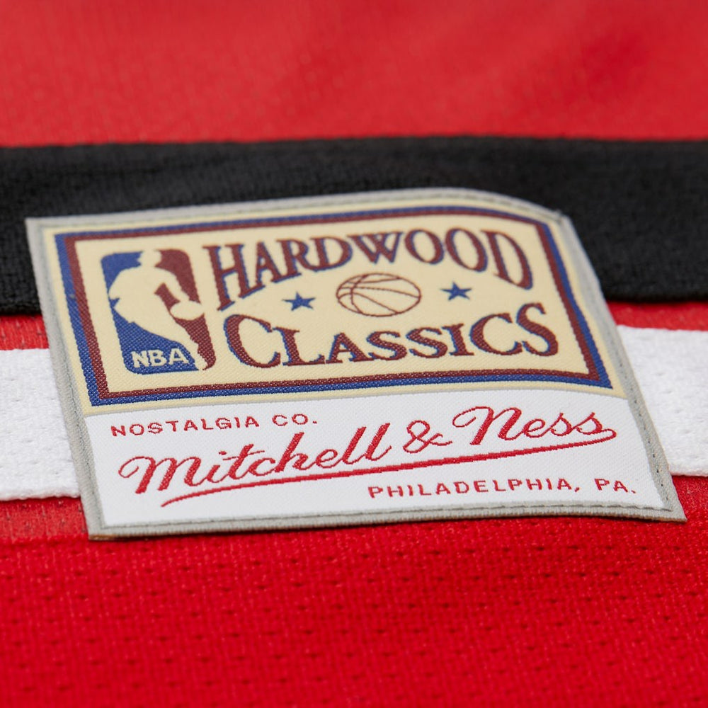 Dikembe Mutombo Atlanta Hawks Unisex Maxxed Out Fashion Hockey Jersey - Red | Mitchell & Ness cheap