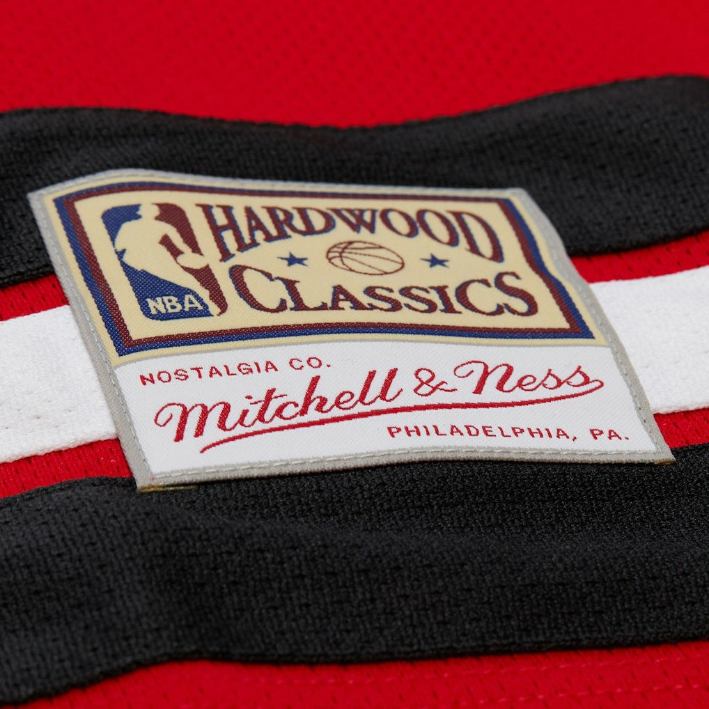 Dennis Rodman Chicago Bulls Unisex Maxxed Out Fashion Hockey Jersey sale - Red | Mitchell & Ness outlet